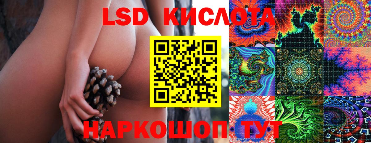 Сокол  Наркотические марки  Вход с VPN  Марки 25I-NBOMe 1,5мг 