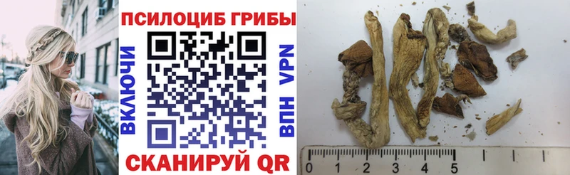 KRAKEN ссылки  маркетплейс формула  Псилоцибиновые грибы Magic Shrooms  Сокол 