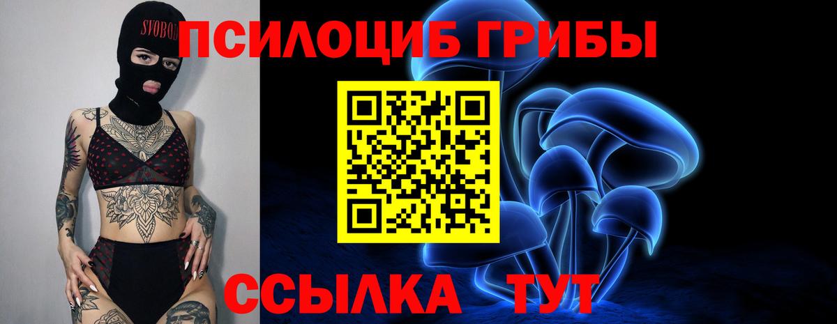 Сокол  Псилоцибиновые грибы прущие грибы  Вход с VPN 
