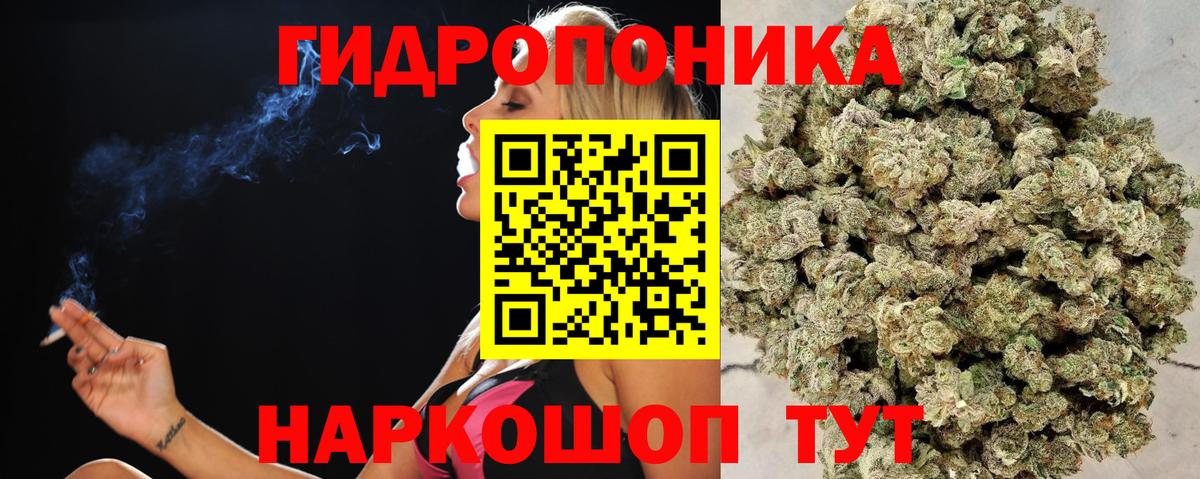 Марихуана MAZAR Сокол